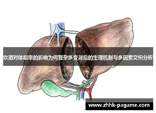 饮酒对体脂率的影响为何复杂多变背后的生理机制与多因素交织分析 饮酒对体脂率的影响为何复杂多变背后的生理机制与多因素交织分析